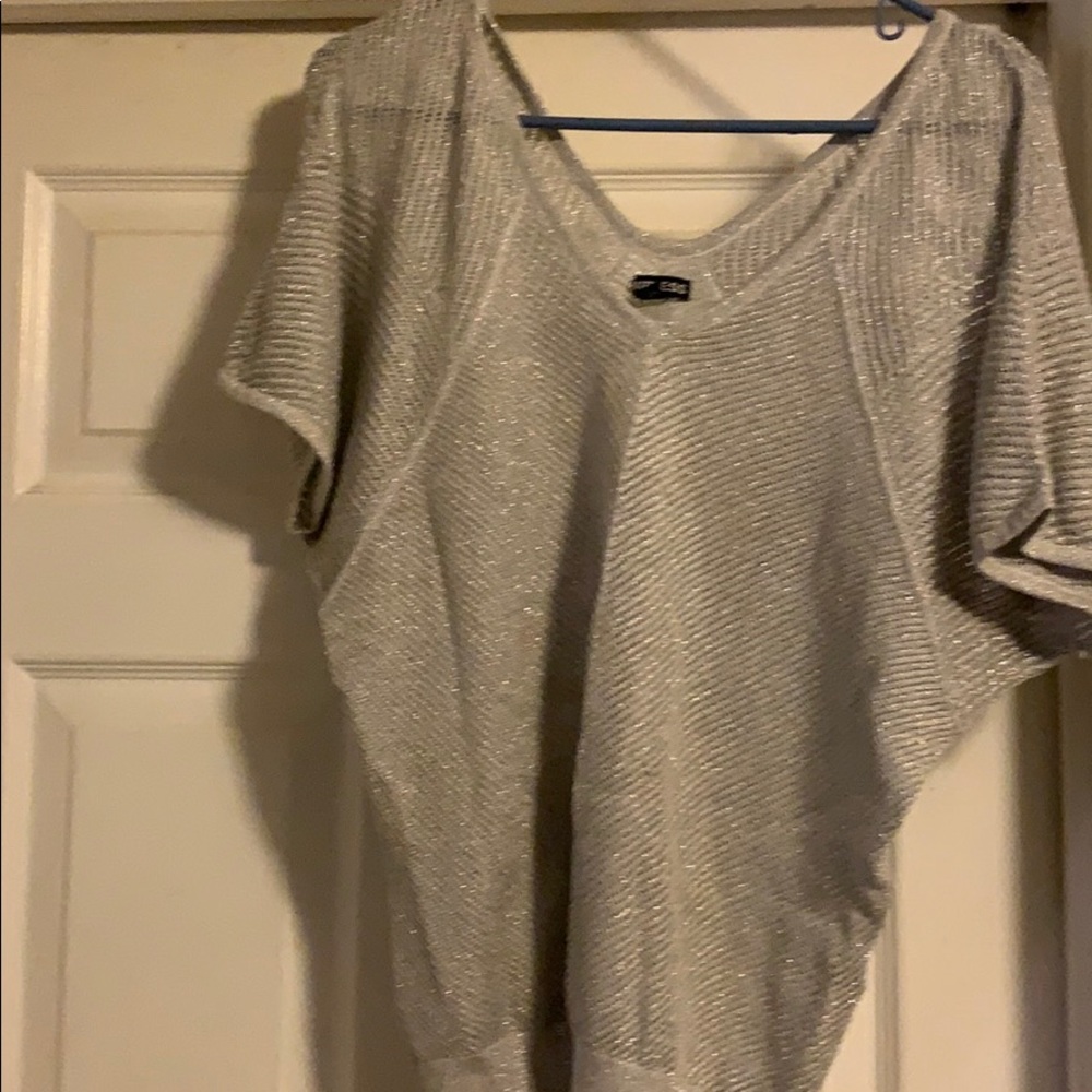 Express sparkly gray sweater
